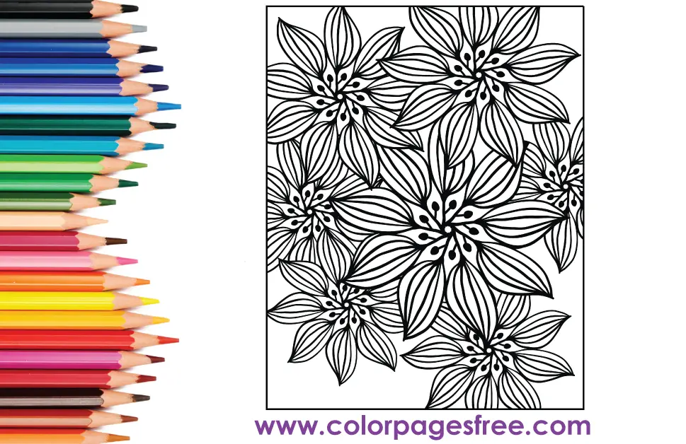 Flower Coloring Page 72